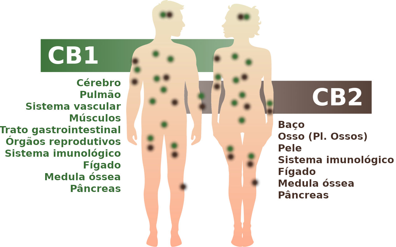 fibromatosis pulmonar sintomas de diabetes